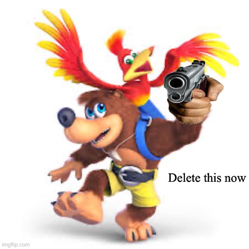 Banjo-Kazooie delete this Blank Meme Template