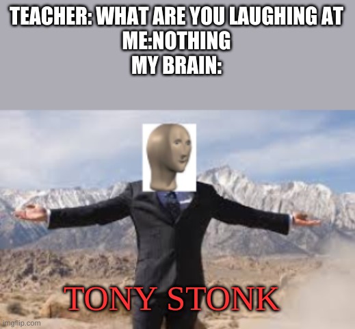 Tony stonk | TEACHER: WHAT ARE YOU LAUGHING AT
ME:NOTHING
MY BRAIN:; TONY STONK | image tagged in tony stonk | made w/ Imgflip meme maker