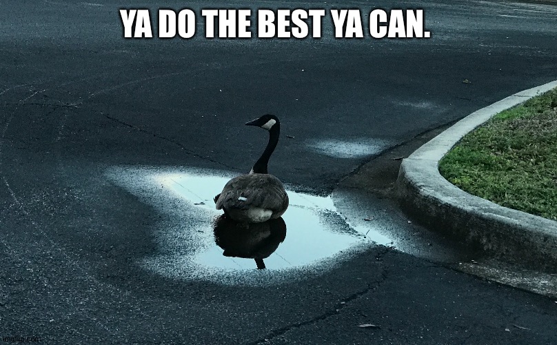 YA DO THE BEST YA CAN. | made w/ Imgflip meme maker