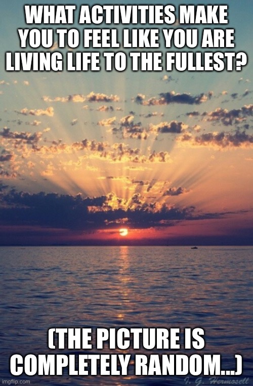 WHAT ACTIVITIES MAKE YOU TO FEEL LIKE YOU ARE LIVING LIFE TO THE FULLEST? (THE PICTURE IS COMPLETELY RANDOM...) | image tagged in oh wow are you actually reading these tags,summer,question | made w/ Imgflip meme maker