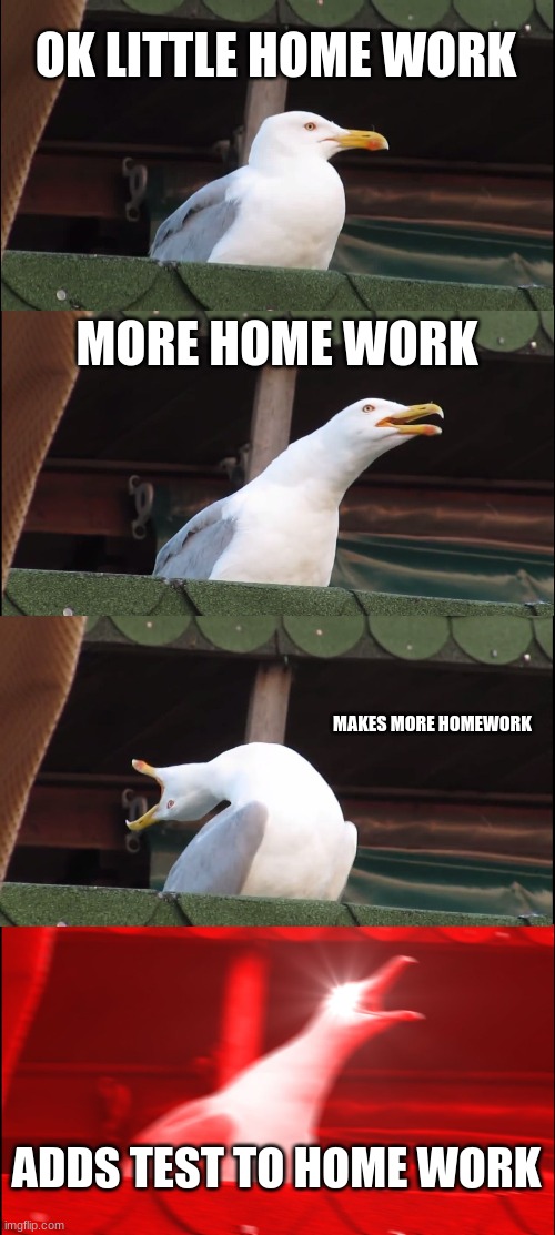 Inhaling Seagull Meme | OK LITTLE HOME WORK; MORE HOME WORK; MAKES MORE HOMEWORK; ADDS TEST TO HOME WORK | image tagged in memes,inhaling seagull | made w/ Imgflip meme maker