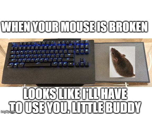 Blank White Template | WHEN YOUR MOUSE IS BROKEN; LOOKS LIKE I'LL HAVE TO USE YOU, LITTLE BUDDY | image tagged in blank white template | made w/ Imgflip meme maker