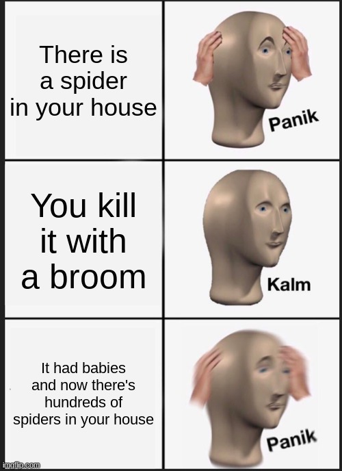 Panik Kalm Panik | There is a spider in your house; You kill it with a broom; It had babies and now there's hundreds of spiders in your house | image tagged in memes,panik kalm panik | made w/ Imgflip meme maker