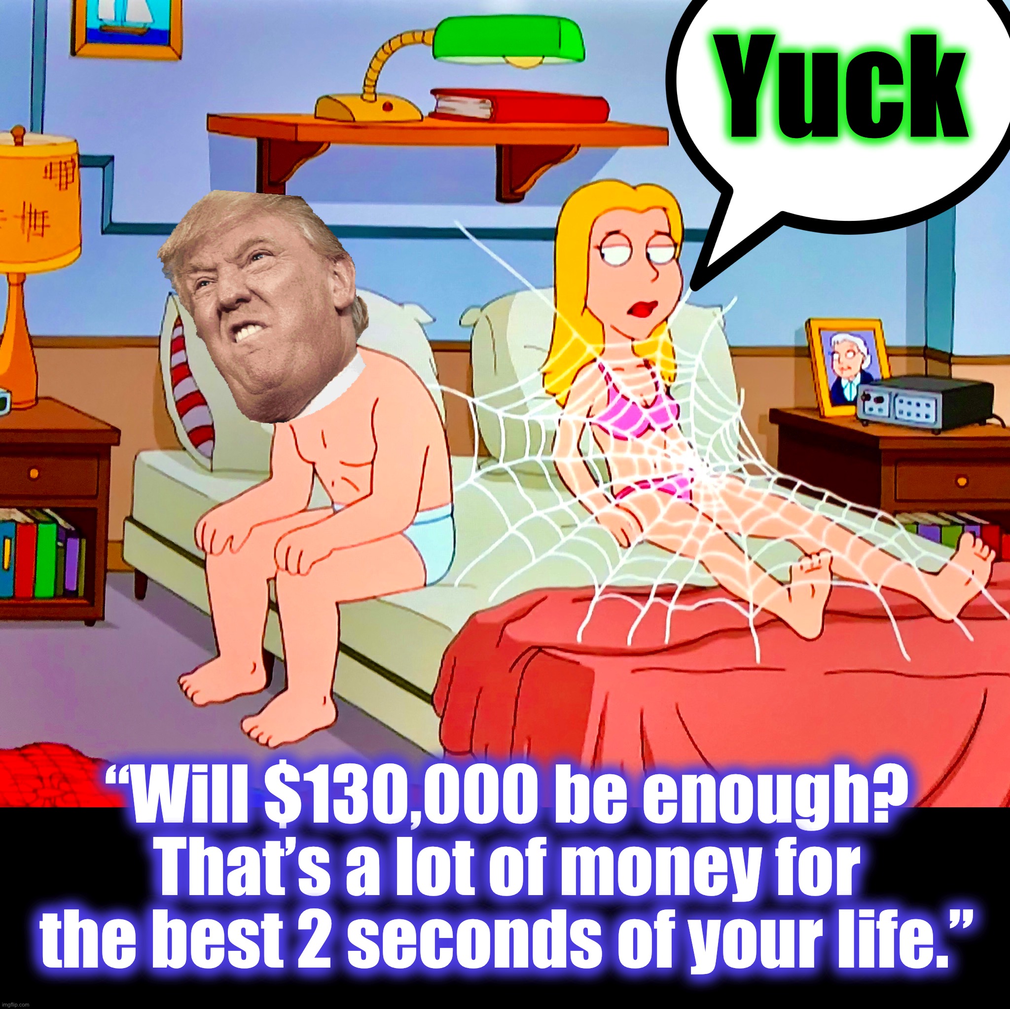 Why does it look like spider web? | Yuck; “Will $130,000 be enough? That’s a lot of money for the best 2 seconds of your life.” | image tagged in stormy daniels,memes,spider-man,shut up and take my money,first time,fast times | made w/ Imgflip meme maker