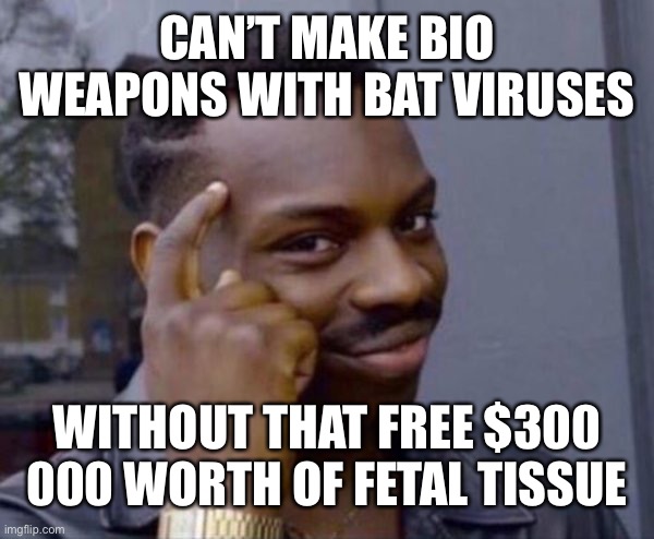 Guy tapping head | CAN’T MAKE BIO WEAPONS WITH BAT VIRUSES; WITHOUT THAT FREE $300 000 WORTH OF FETAL TISSUE | image tagged in guy tapping head | made w/ Imgflip meme maker