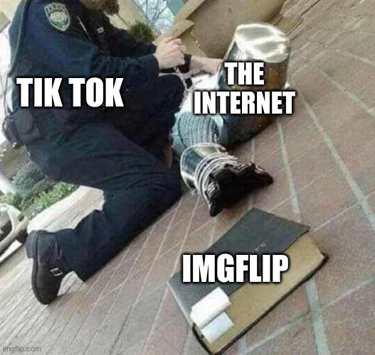 we're the last hope | THE INTERNET; TIK TOK; IMGFLIP | image tagged in arrested crusader reaching for book | made w/ Imgflip meme maker