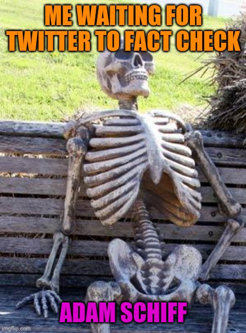 Waiting Skeleton Meme | ME WAITING FOR TWITTER TO FACT CHECK ADAM SCHIFF | image tagged in memes,waiting skeleton | made w/ Imgflip meme maker