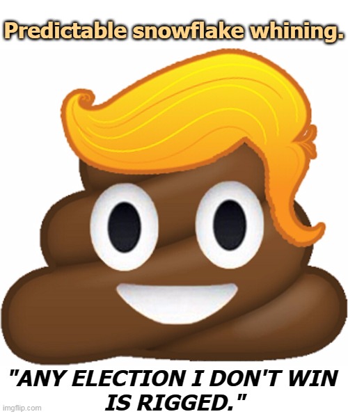 From Hair to Eternity | Predictable snowflake whining. "ANY ELECTION I DON'T WIN 
IS RIGGED." | image tagged in trump shit emoji,trump,whine,rigged,repeat,boring | made w/ Imgflip meme maker