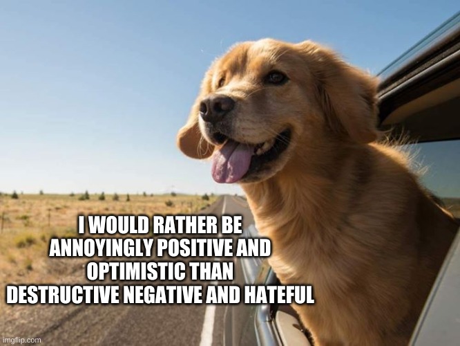 Happy Dog - Optimistic | I WOULD RATHER BE ANNOYINGLY POSITIVE AND OPTIMISTIC THAN DESTRUCTIVE NEGATIVE AND HATEFUL | image tagged in happy dog,optimistic | made w/ Imgflip meme maker