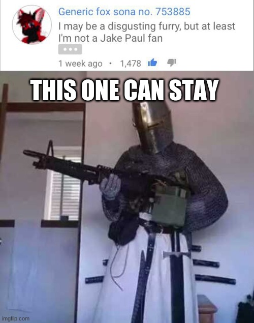 Are we on the same side now? | THIS ONE CAN STAY | image tagged in crusader knight with m60 machine gun,furry,jake paul,funny memes,this one sparks joy | made w/ Imgflip meme maker