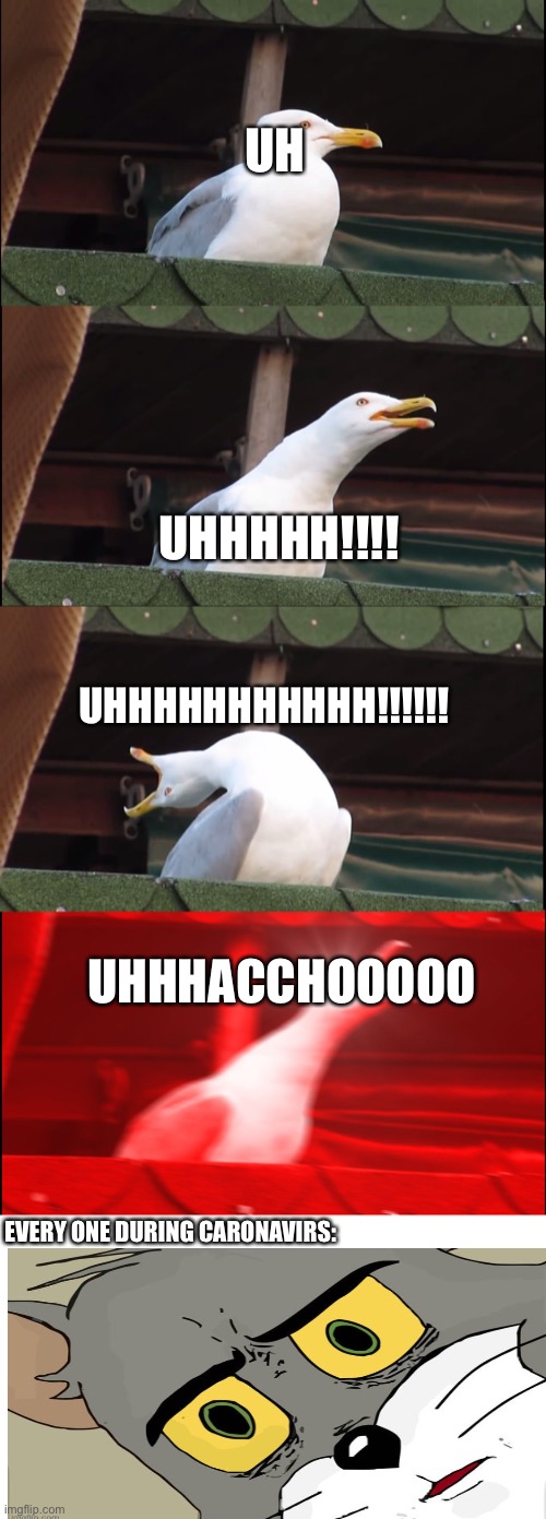 Inhaling Seagull | UH; UHHHHH!!!! UHHHHHHHHHHH!!!!!! UHHHACCHOOOOO; EVERY ONE DURING CARONAVIRS: | image tagged in memes,inhaling seagull | made w/ Imgflip meme maker