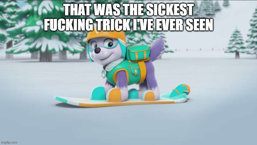 Everest Snowboarding (PAW Patrol) | THAT WAS THE SICKEST FUCKING TRICK I'VE EVER SEEN | image tagged in everest snowboarding paw patrol | made w/ Imgflip meme maker