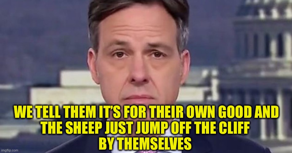 Jake Tapper | WE TELL THEM IT’S FOR THEIR OWN GOOD AND
THE SHEEP JUST JUMP OFF THE CLIFF 
BY THEMSELVES | image tagged in jake tapper | made w/ Imgflip meme maker