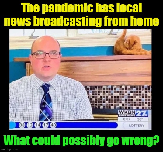 Hey, if you could, you would too | The pandemic has local news broadcasting from home; What could possibly go wrong? | image tagged in pandemic,covid-19,news,news anchor,funny cats,funny | made w/ Imgflip meme maker