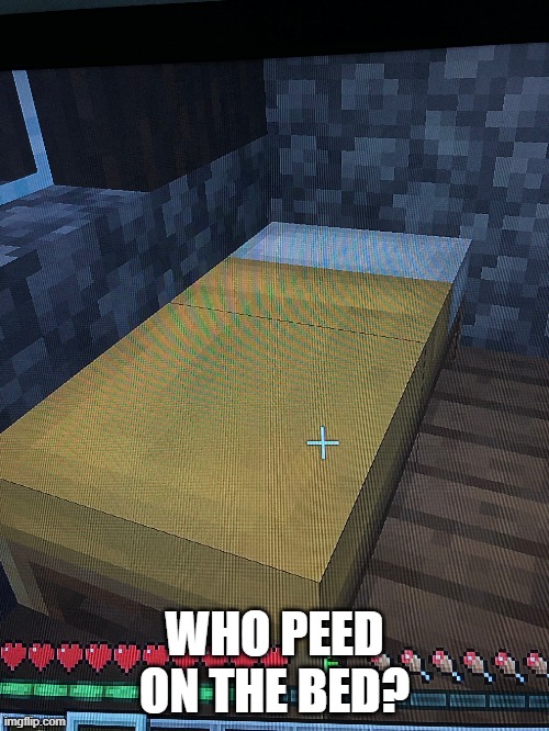 Wet bed | WHO PEED ON THE BED? | image tagged in wet bed | made w/ Imgflip meme maker