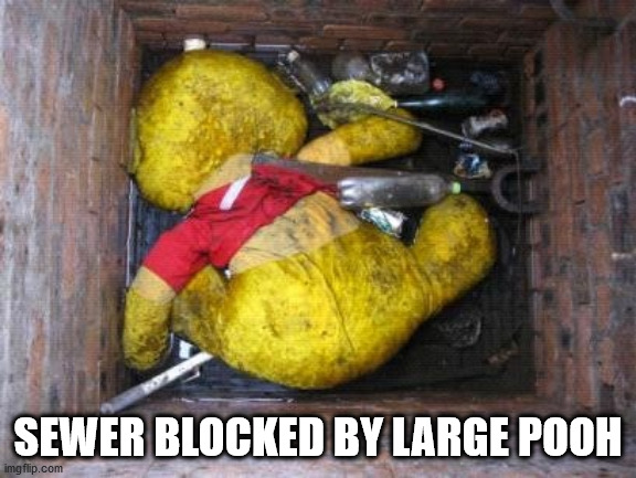 Sewer Blockage | SEWER BLOCKED BY LARGE POOH | image tagged in sewer blockage | made w/ Imgflip meme maker