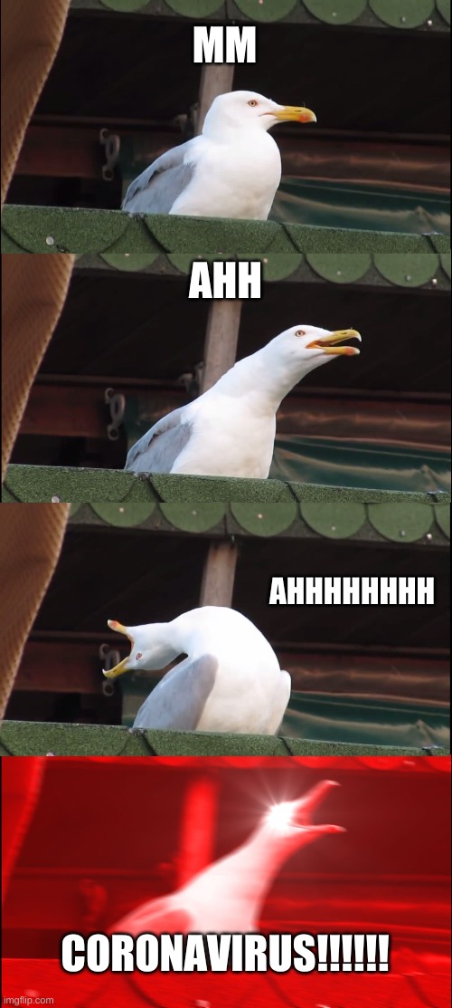 Inhaling Seagull Meme | MM; AHH; AHHHHHHHH; CORONAVIRUS!!!!!! | image tagged in memes,inhaling seagull | made w/ Imgflip meme maker
