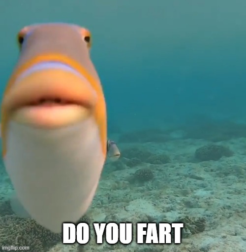 DO YOU FART | DO YOU FART | image tagged in do you fart | made w/ Imgflip meme maker