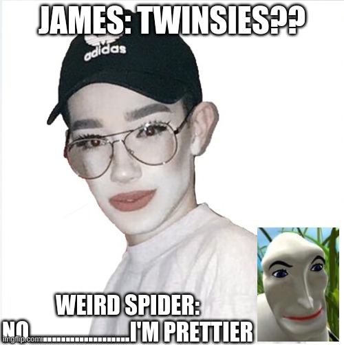 the BEST makeup EVER!! | JAMES: TWINSIES?? WEIRD SPIDER: NO......................I'M PRETTIER | image tagged in james charles,memes,funny memes,makeup,smile,creepy smile | made w/ Imgflip meme maker