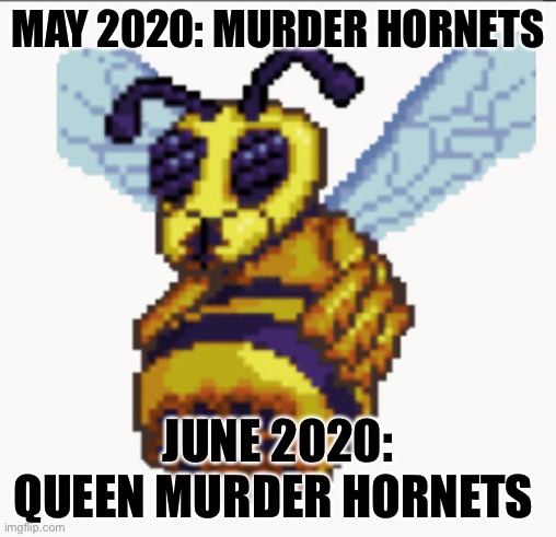 Yes, I know this is the queen bee from terraria | MAY 2020: MURDER HORNETS; JUNE 2020: QUEEN MURDER HORNETS | image tagged in terraria,murder hornet | made w/ Imgflip meme maker