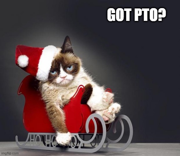 Grumpy Cat Christmas HD | GOT PTO? | image tagged in grumpy cat christmas hd | made w/ Imgflip meme maker