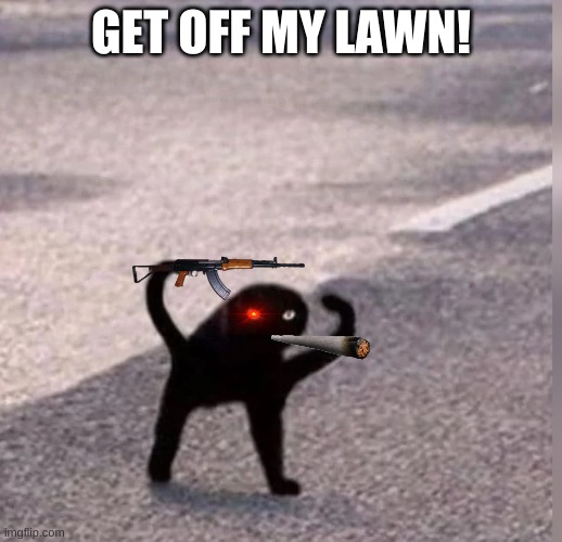 Cursed Cat | GET OFF MY LAWN! | image tagged in cursed cat | made w/ Imgflip meme maker