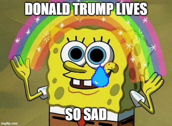 Donald tump | DONALD TRUMP LIVES; SO SAD | image tagged in memes,imagination spongebob | made w/ Imgflip meme maker