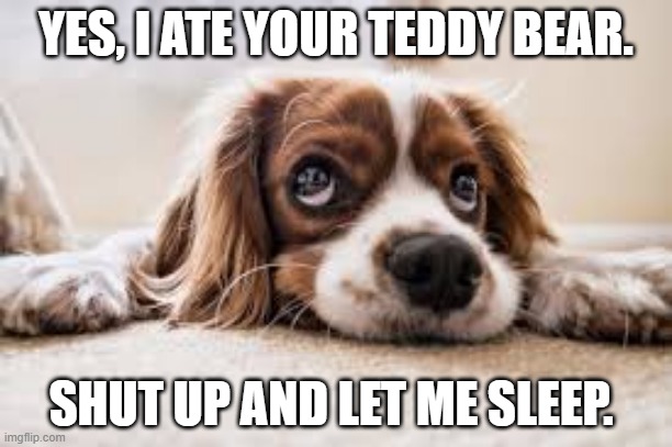 YES, I ATE YOUR TEDDY BEAR. SHUT UP AND LET ME SLEEP. | made w/ Imgflip meme maker