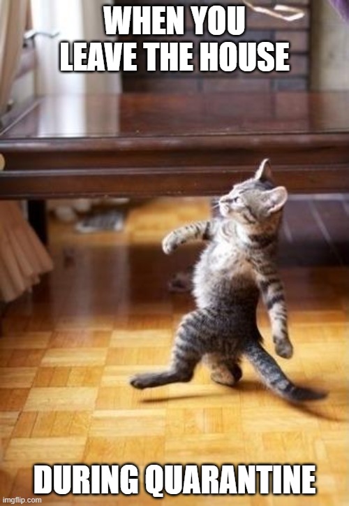 leave | WHEN YOU LEAVE THE HOUSE; DURING QUARANTINE | image tagged in memes,cool cat stroll | made w/ Imgflip meme maker
