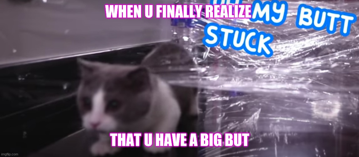 BUT TOO BIG | WHEN U FINALLY REALIZE; THAT U HAVE A BIG BUT | image tagged in funny memes,cats | made w/ Imgflip meme maker