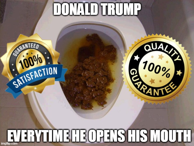 Donald Trump | DONALD TRUMP; EVERYTIME HE OPENS HIS MOUTH | image tagged in donald trump | made w/ Imgflip meme maker