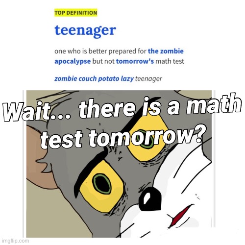 Math test tomorrow | image tagged in meme | made w/ Imgflip meme maker