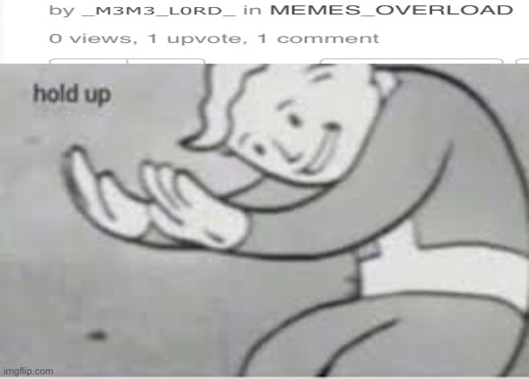 Wait what | image tagged in hol up | made w/ Imgflip meme maker