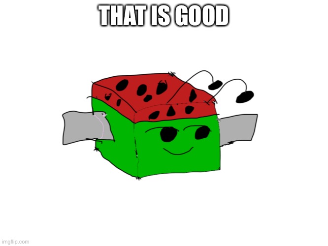 m | THAT IS GOOD | image tagged in melon | made w/ Imgflip meme maker