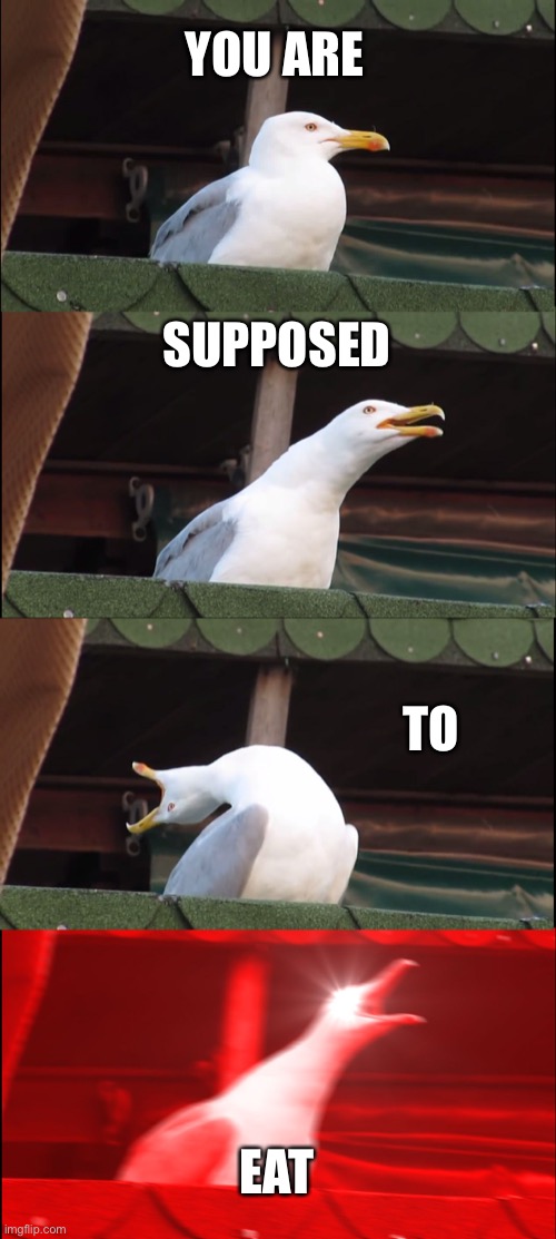 Inhaling Seagull Meme | YOU ARE SUPPOSED TO EAT | image tagged in memes,inhaling seagull | made w/ Imgflip meme maker