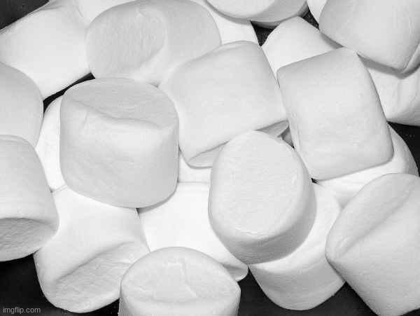 Marshmallow | image tagged in marshmallow | made w/ Imgflip meme maker