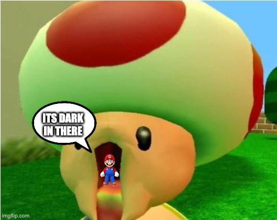 its dark in here | ITS DARK IN THERE | image tagged in excited toad | made w/ Imgflip meme maker