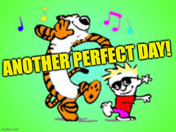 ANOTHER PERFECT DAY! | image tagged in perfect day | made w/ Imgflip meme maker