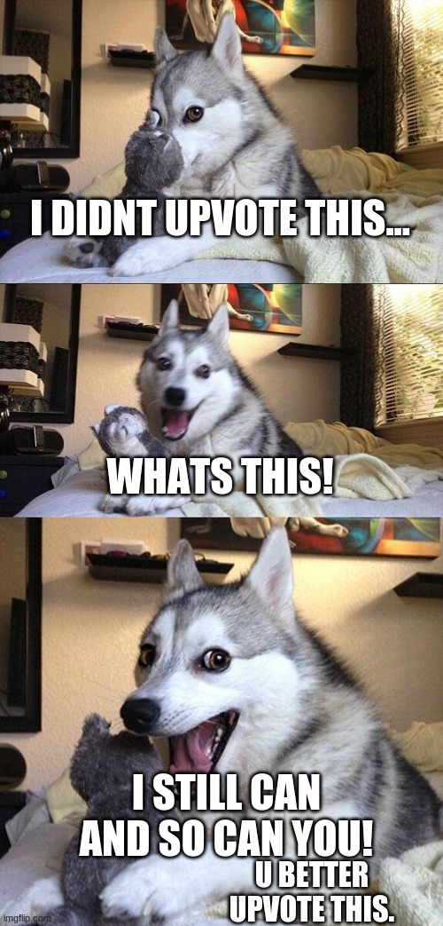 Bad Pun Dog Meme | I DIDNT UPVOTE THIS... WHATS THIS! I STILL CAN AND SO CAN YOU! U BETTER UPVOTE THIS. | image tagged in memes,bad pun dog | made w/ Imgflip meme maker