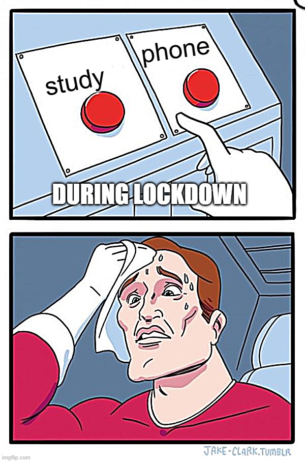 Two Buttons Meme | phone; study; DURING LOCKDOWN | image tagged in memes,two buttons | made w/ Imgflip meme maker