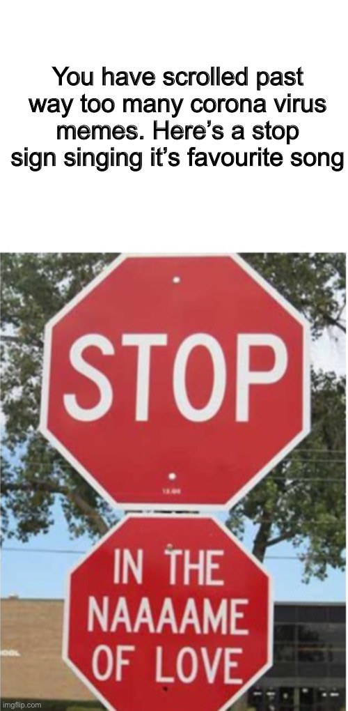STOP, in the name of loooove! | You have scrolled past way too many corona virus memes. Here’s a stop sign singing it’s favourite song | image tagged in stop you fool,hello,hello my name is my cat meows and this is my meme i apologize if my meme sucks you know the usual | made w/ Imgflip meme maker