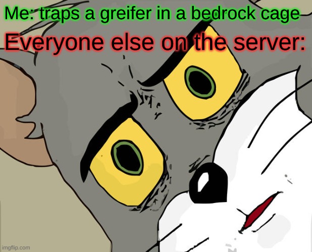 Trap a greifer | Me: traps a greifer in a bedrock cage; Everyone else on the server: | image tagged in memes,unsettled tom,minecraft | made w/ Imgflip meme maker