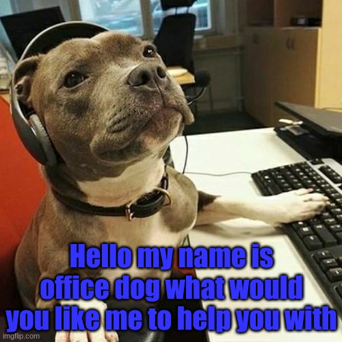 pit bull tech support | Hello my name is office dog what would you like me to help you with | image tagged in cute | made w/ Imgflip meme maker