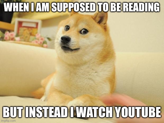 YouTube reading | WHEN I AM SUPPOSED TO BE READING; BUT INSTEAD I WATCH YOUTUBE | image tagged in memes,doge 2 | made w/ Imgflip meme maker
