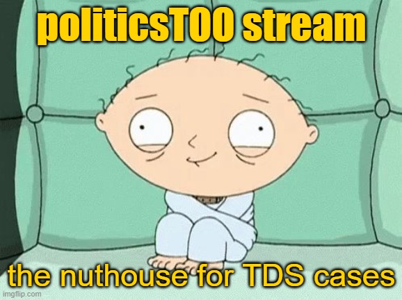 politicsTOO: Imgflip insane asylum | politicsTOO stream; the nuthouse for TDS cases | image tagged in straitjacket stewie,trump | made w/ Imgflip meme maker