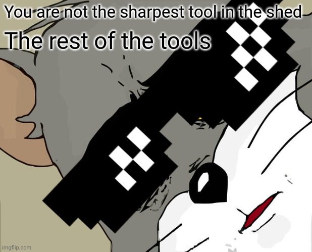 This meme is so bad it becomes good! XD | You are not the sharpest tool in the shed; The rest of the tools | image tagged in unsettled tom | made w/ Imgflip meme maker