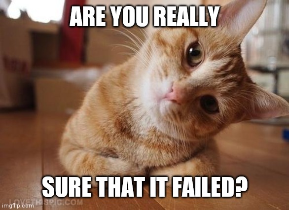Curious Question Cat | ARE YOU REALLY SURE THAT IT FAILED? | image tagged in curious question cat | made w/ Imgflip meme maker