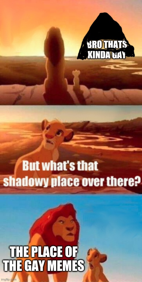 Simba Shadowy Place Meme | BRO THATS KINDA GAY THE PLACE OF THE GAY MEMES | image tagged in memes,simba shadowy place | made w/ Imgflip meme maker
