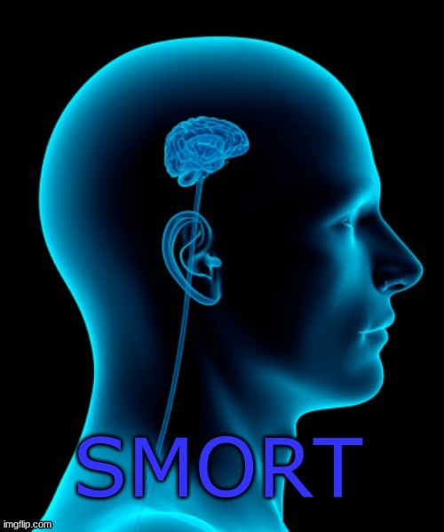 smort | image tagged in smort | made w/ Imgflip meme maker