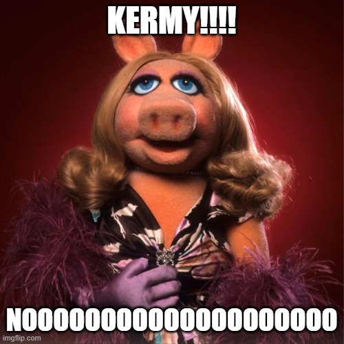 miss piggy | KERMY!!!! NOOOOOOOOOOOOOOOOOOOO | image tagged in miss piggy | made w/ Imgflip meme maker